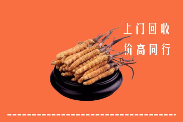 高价求购：济南市槐荫区回收散虫草