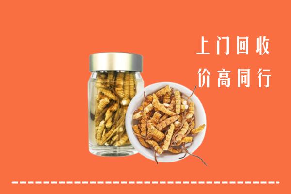 济南市槐荫区回收冬虫夏草