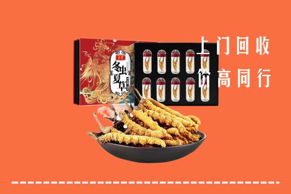 济南市槐荫区回收虫草